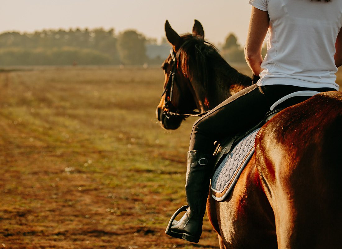 Employee Benefits - Close Up of a Young Woman Horseback Riding at Sunset Across a Field