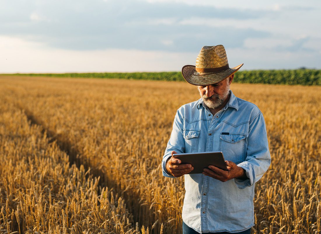 Insurance by Industry - Farmer Using Tablet Standing in a Wheat Field at Dusk