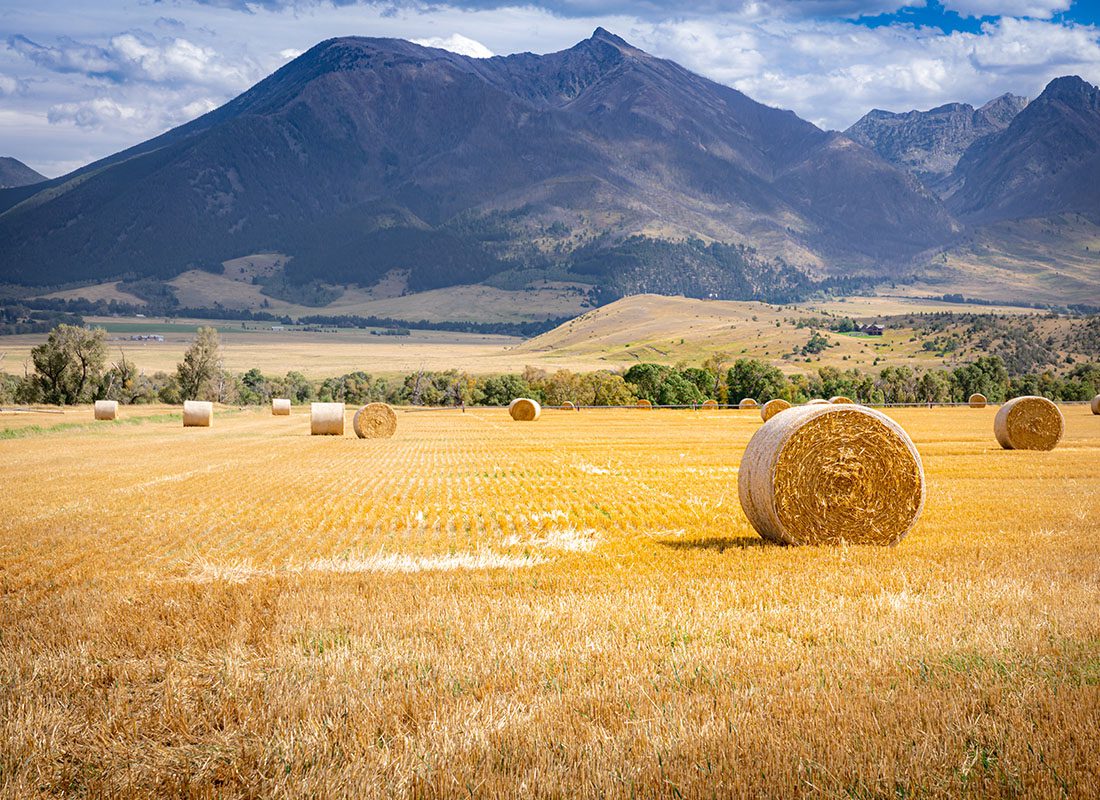 Lander, WY - Landscape View of Hay Bales on a Field in Wyoming With Mountains in the Distance
